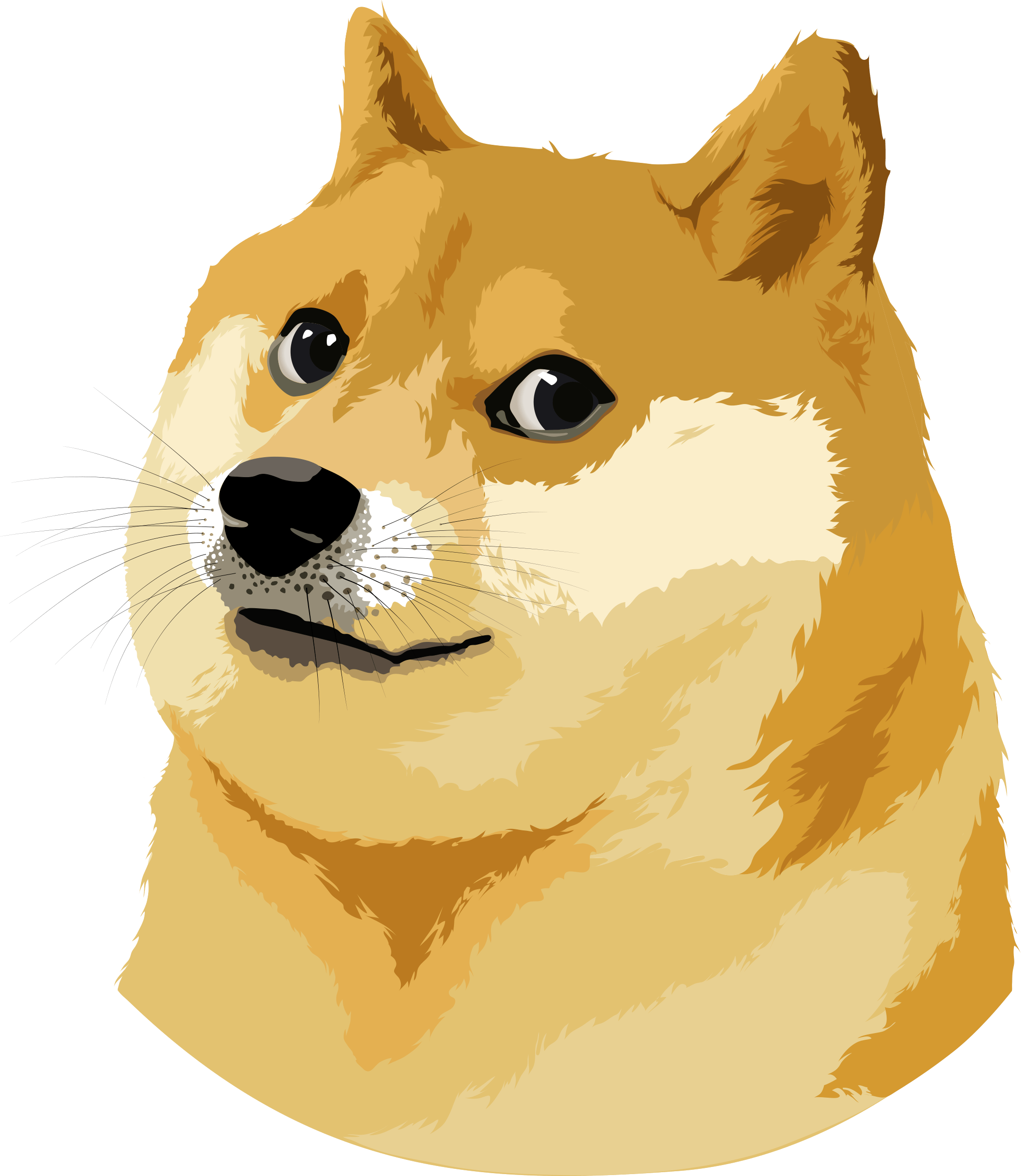 doge logo